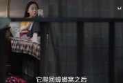 笛子姐姐爆料视频大全集,揭秘幕后故事与精彩瞬间