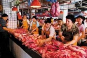 哈尔滨猪肉爆料事件视频,揭露食品安全背后的惊人真相